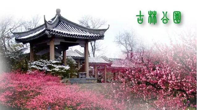 <b>【南京三門灣電器】周日4.24古林公園賞牡丹花、</b>